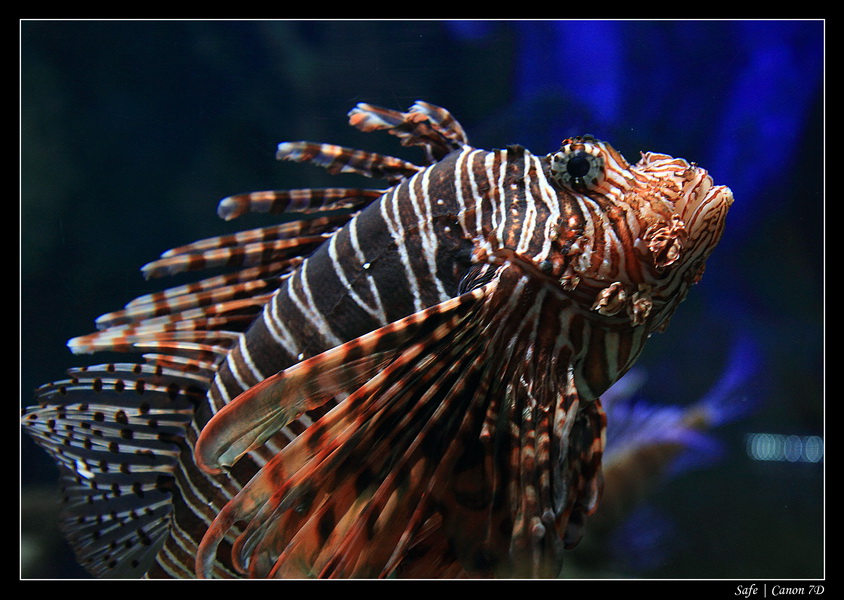 2012 - 06 - Dubai - 153